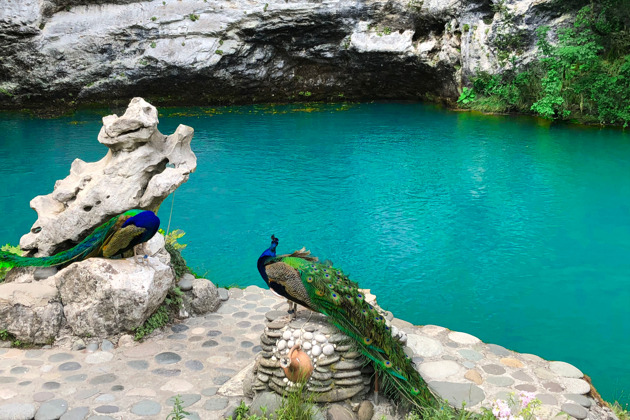 Фото - экскурсия: Абхазия — страна души: Гагры, Рица, Новый Афон