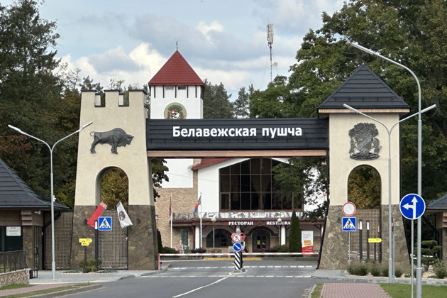 Путешествие в Беловежскую пущу и Каменец: автотур из Бреста