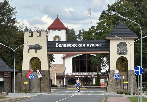 Эксклюзивный трансфер из Бреста в Беловежскую пущу и обратно