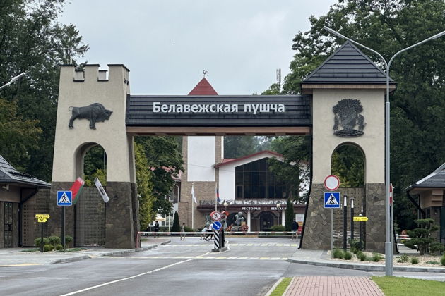 Фото экскурсии - Эксклюзивный трансфер из Бреста в Беловежскую пущу и обратно - 5