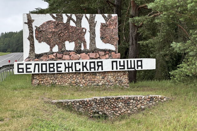 Фото экскурсии - Трансфер Брест — Беловежская пуща и обратно - 6