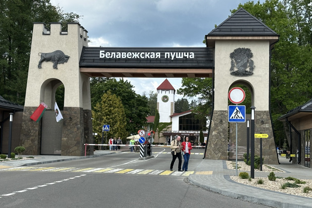 Фото - экскурсия: Трансфер в Беловежскую пущу: туда и обратно