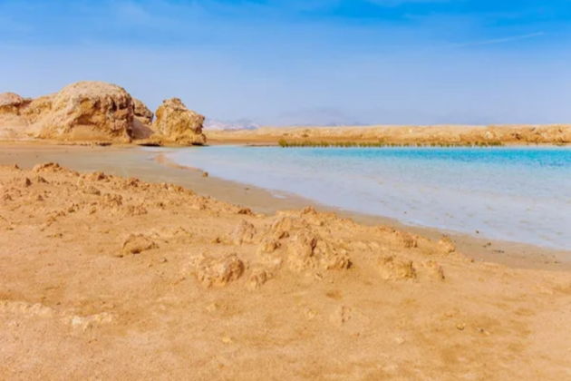 Фото экскурсии - Откройте богатства Красного моря в Рас-Мохаммеде на суше и в глубинах - 10