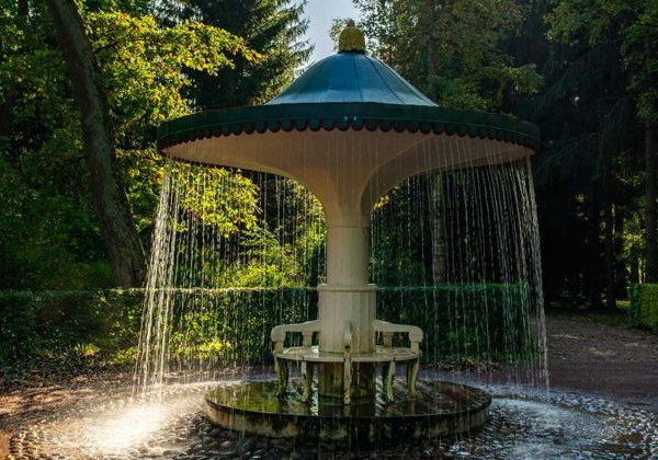 В Петергоф по воде: «Метеор» + фонтаны в мини-группе - фото 3