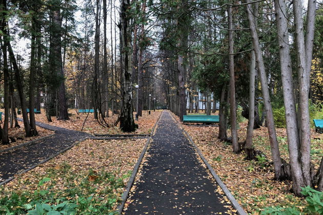 Фото экскурсии - Экскурсия-прогулка по Переделкину: романтика, литература, дачи - 1