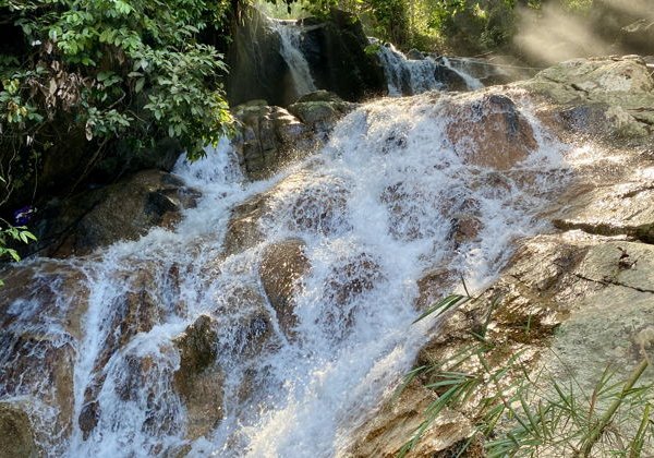 Через джунгли к дикой реке - фото 2