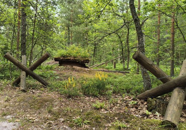 НЕтуристический маршрут. Ожившая военная история. - фото 1