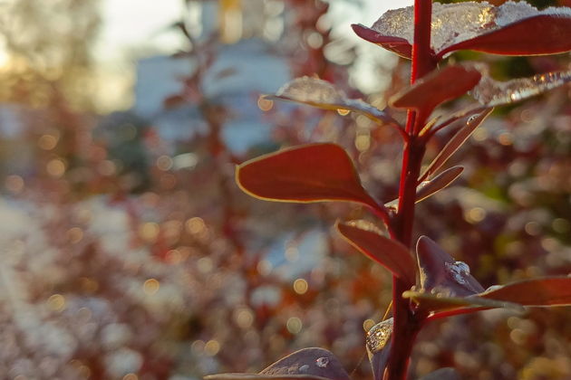 Фото экскурсии - Солотча: драгоценность Мещерского края - 6