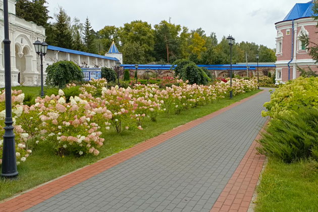 Фото экскурсии - Солотча: драгоценность Мещерского края - 12