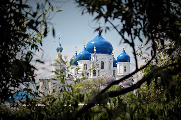 Фото - экскурсия: Каменная поэзия Боголюбова и храма Покрова-на-Нерли