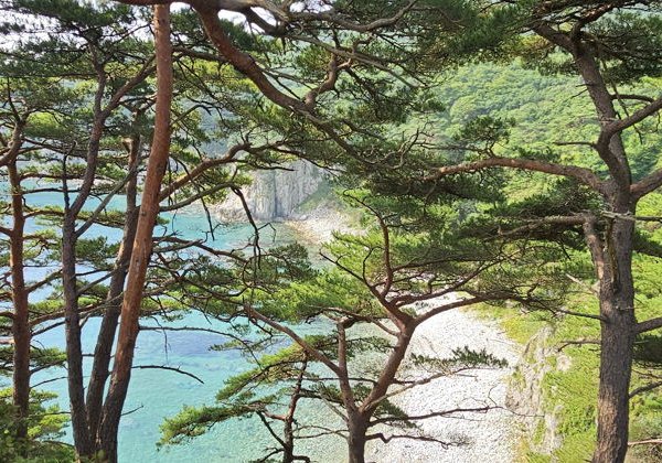 Мыс Парящей Черепахи, скульптура Белого Льва и Кравцовские водопады - фото 4