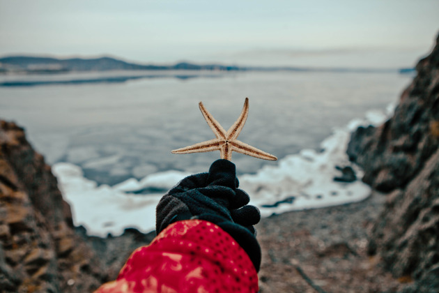 Фото - экскурсия: Мыс Парящей Черепахи, скульптура Белого Льва и Кравцовские водопады