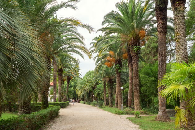 Фото экскурсии - Вечерний променад по Гагре: путешествие сквозь века - 5