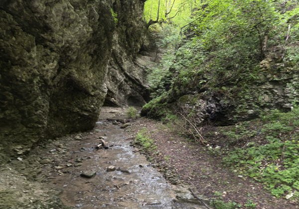  Красоты Аргунского ущелья: от водопада к сторожевым башням - фото 3
