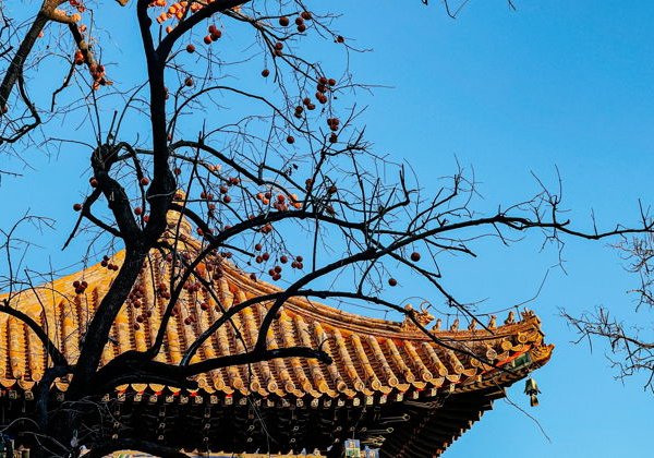 Культурное наследие Китая: Великая стена и старый Пекин - фото 4