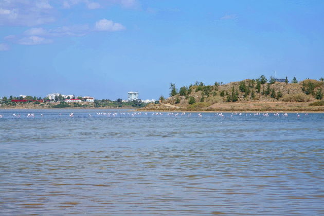 Фото экскурсии - Экскурсия из Пафоса в Ларнаку и разделенную Никосию, с прогулкой по северно - 6