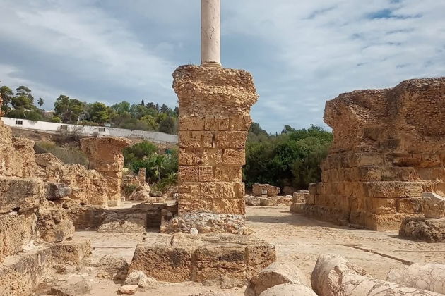 Фото экскурсии - Экскурсия по Карфагену и Тунису с посещением музея Бардо - 15