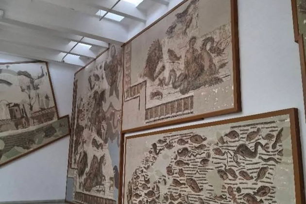 Фото экскурсии - Экскурсия по Карфагену и Тунису с посещением музея Бардо - 6