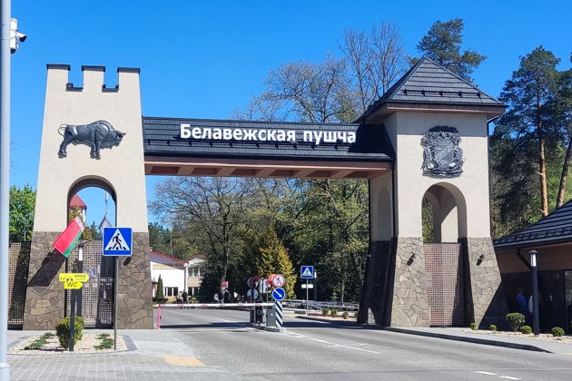 Фото экскурсии - Трансфер на микроавтобусе из Бреста в Беловежскую пущу и Каменецкую башню - 3