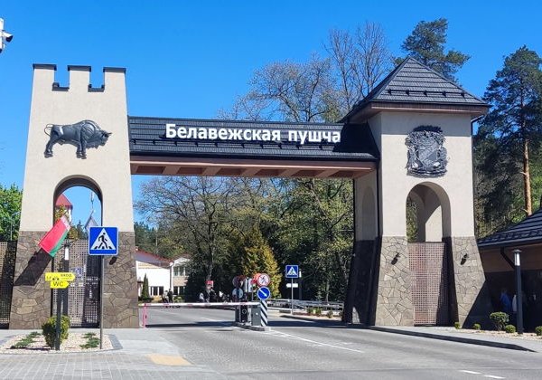 Трансфер на микроавтобусе из Бреста в Беловежскую пущу и Каменецкую башню - фото 3