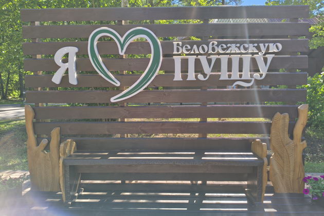 Фото экскурсии - Трансфер на микроавтобусе из Бреста в Беловежскую пущу и Каменецкую башню - 5