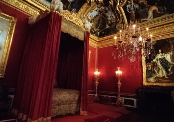 Дворцово парковый комплекс (билет включён) - фото 3