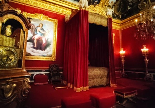 Дворцово парковый комплекс (билет включён) - фото 4