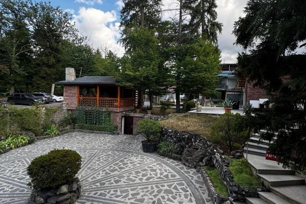 Фото экскурсии - Освежающее путешествие: Мцхета - Зеленый лес - Боржоми - 3