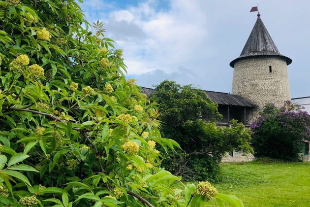 Фото экскурсии - Путешествие по древним городам: Псков, Изборск и Печоры - 7