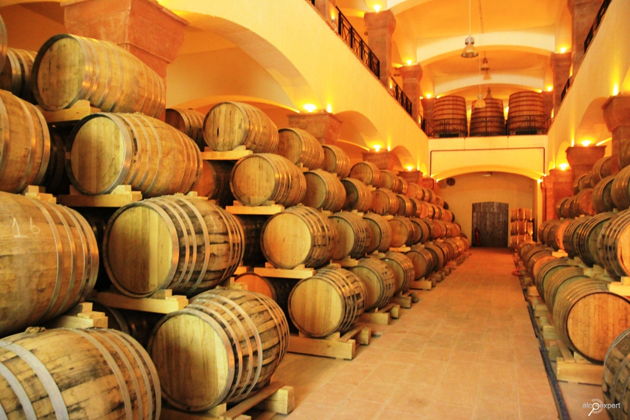 Фото экскурсии - Винный путь Армении: от легендарного Хор Вирапа до винодельни Тушпа 🍇 - 9