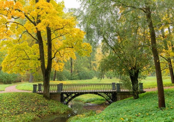 Литературное Царское Село - фото 3