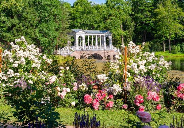 Литературное Царское Село