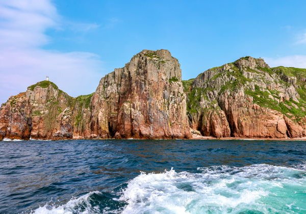 Гастротур на островах и морские тюлени - фото 3
