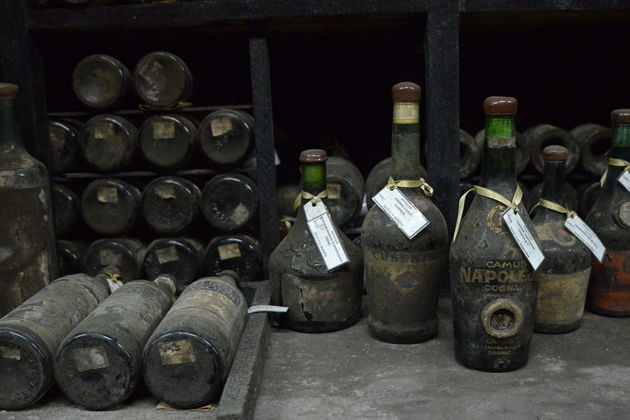 Фото экскурсии - Выбор между дегустацией в Массандре и посещением Никитского ботанического сада - 1