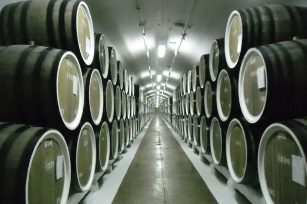 Фото экскурсии - Выбор между дегустацией в Массандре и посещением Никитского ботанического сада - 4