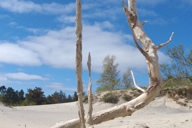 Фото - экскурсия: Прогулка по белоснежным барханам и лазурному побережью