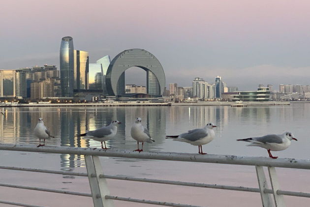 Фото экскурсии - Трансфер из аэропорта Баку с обзорной прогулкой по центру города - 7