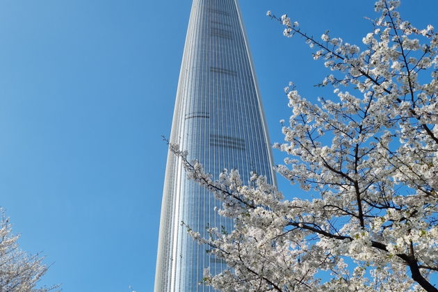 Фото экскурсии - Билет на смотровую площадку небоскреба Lotte World в Сеуле - 4