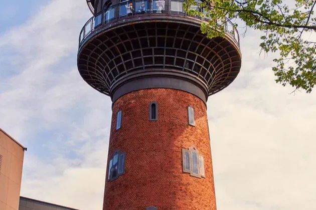 Фото экскурсии - Экскурсия на Куршскую косу из Зеленоградска с пробами сыра и шоколада - 5