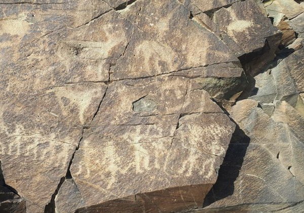 Петроглифы Танбалы — экскурсия для истинных любителей истории - фото 3