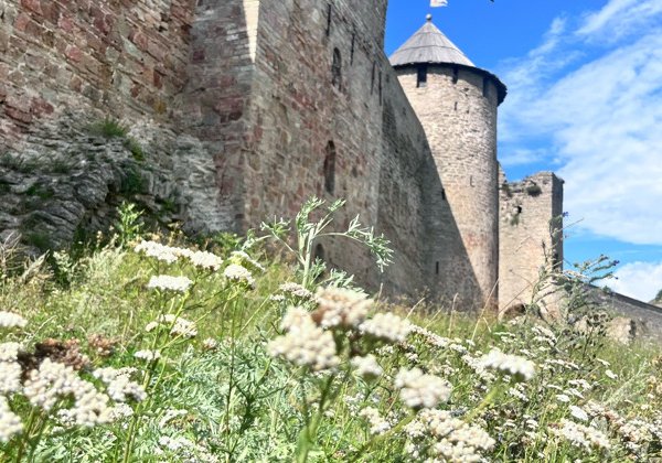 Экскурсия в Ивангород — Кингисепп — Копорье