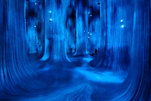 Фото экскурсии - Билет в teamLab Phenomena — мир искусства и технологий (на английском) - 5