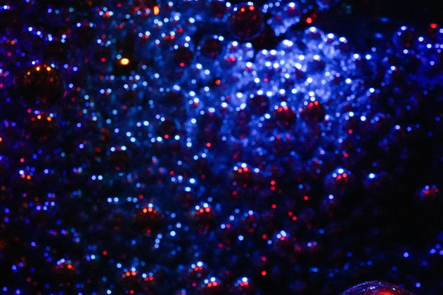Фото экскурсии - Билет в teamLab Phenomena — мир искусства и технологий (на английском) - 6