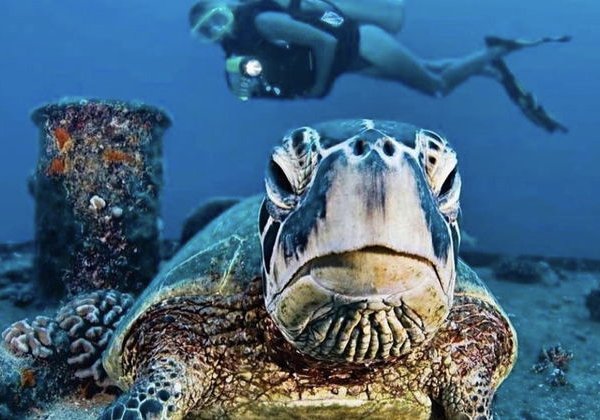 Дайвинг и подводные открытия в Анталии - фото 4