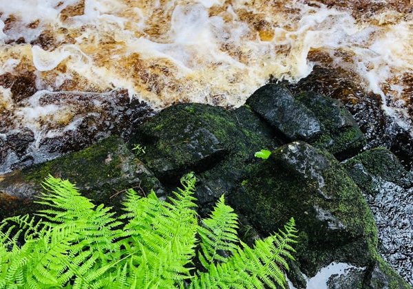 Тур Южная Карелия: Кузнечное, Куркиеки, Лахденпохья и Долина водопадов - фото 2