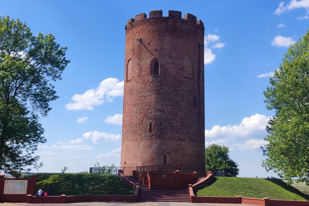 Фото экскурсии - Уникальная одиссея в самое сердце Беловежской пущи на микроавтобусе - 6