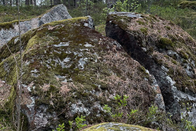 Фото экскурсии - Двухдневное путешествие на SUP-досках по реке Вуокса - 9
