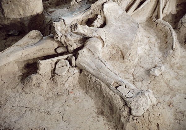 Костёнки — прикосновение к миру древних людей - фото 3