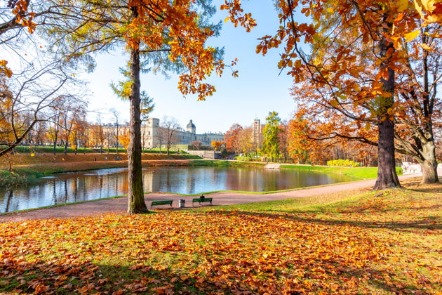 Фото экскурсии - Прогулка по Гатчине для влюбленных в небольшой компании - 5