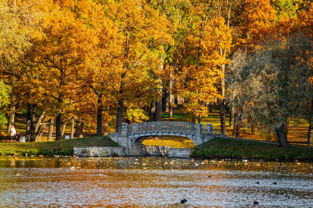 Фото экскурсии - Прогулка по Гатчине для влюбленных в небольшой компании - 12